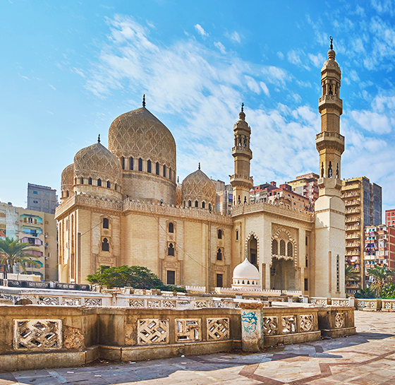 Alexandrie la méditerranéenn 1