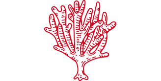 Exploration des récifs et des fonds marins